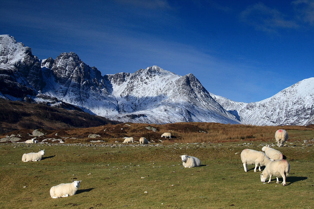 Pastvina pod Bla Bheinn