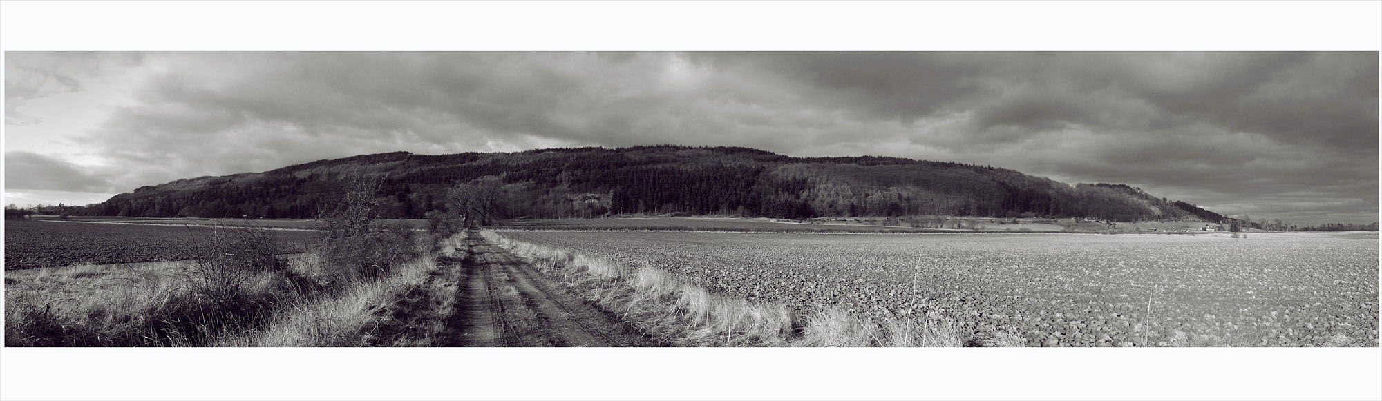 Moncreiffe hill 