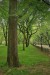 Central park